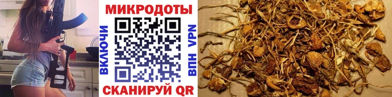 Псилоцибиновые грибы GOLDEN TEACHER  Купить где  Карпинск 